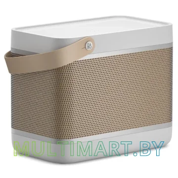 Беспроводная колонка Bang & Olufsen Beolit 20 (серый)